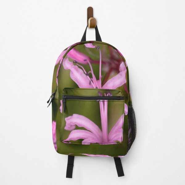 Item preview, Anemones designed and sold by Dave Hare Photography.