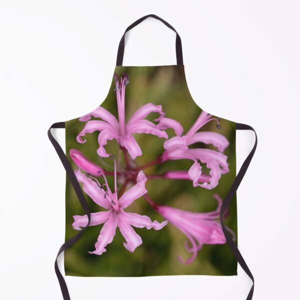 Item preview, Anemones designed and sold by Dave Hare Photography.
