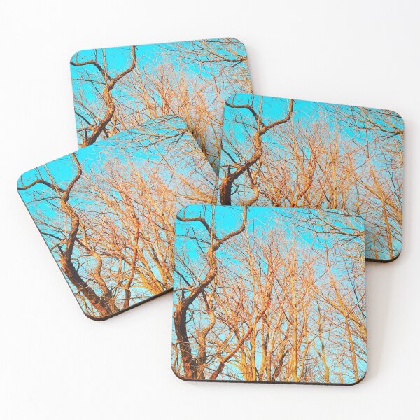 Item preview, Bare winter trees twisting and bending against the background of the blue cloudless sky  designed and sold by helenkaiy.