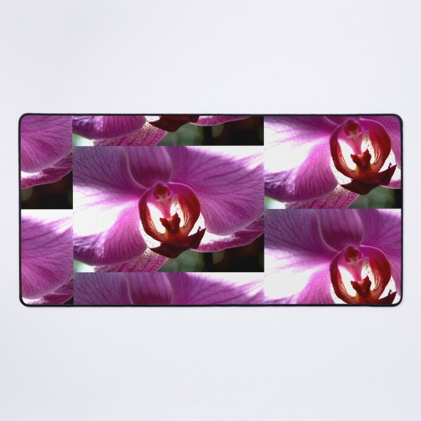Item preview, Colorful Orchid designed and sold by Lee's Place.