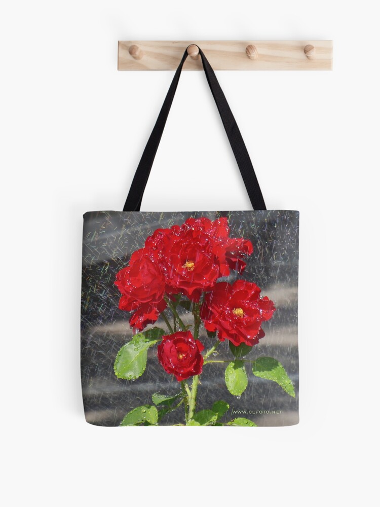 Thumbnail 1 of 2, Tote Bag, Sprinkler shower, Bolzano/Bozen, Italy designed and sold by L Lee McIntyre.