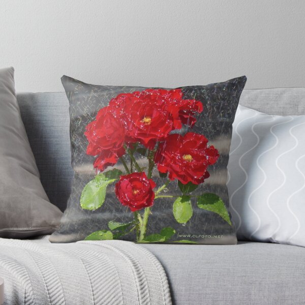 Sprinkler shower, Bolzano/Bozen, Italy Throw Pillow