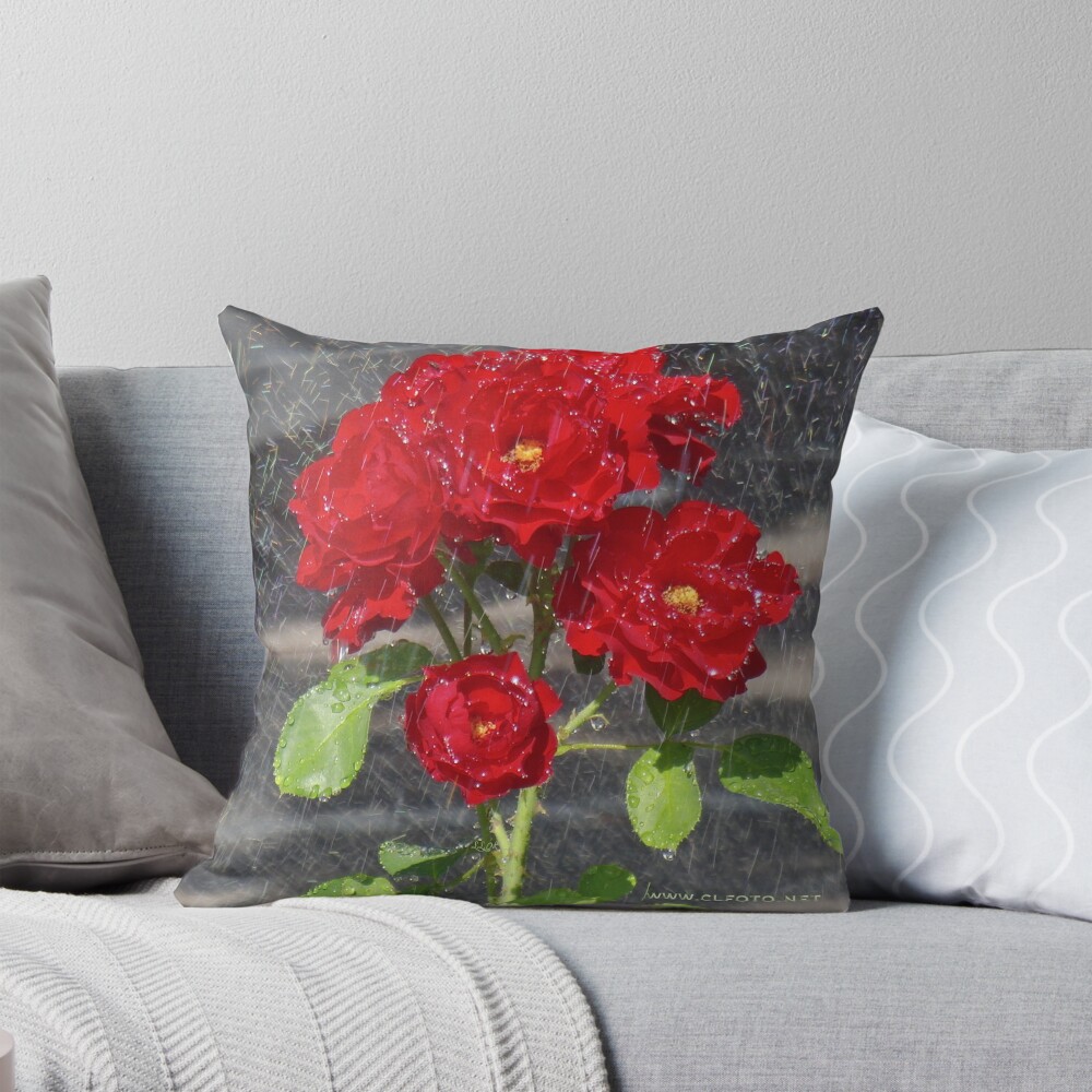 Item preview, Throw Pillow designed and sold by leemcintyre.
