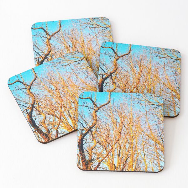 Item preview, Bare winter trees twisting and bending against the background of the blue cloudless sky  designed and sold by helenkaiy.