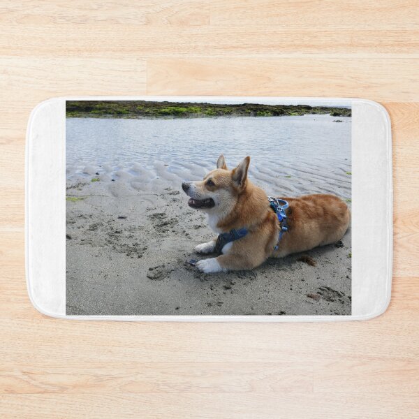 Item preview, A corgi at the beach designed and sold by willy92.