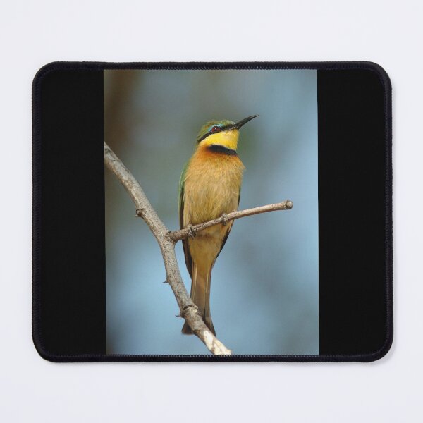 Item preview, Little Bee-eater designed and sold by quentinjlang.