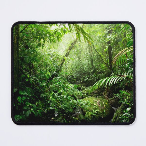 Item preview, Warm Glow Rainforest Creek designed and sold by Nicklas81.