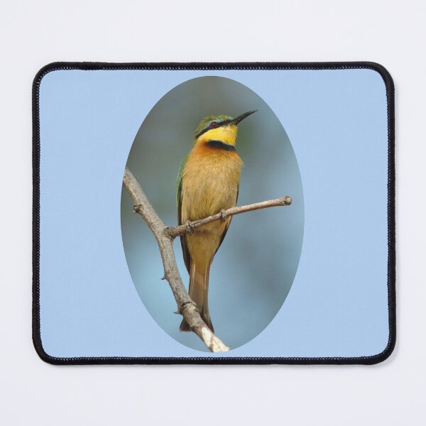 Item preview, Little Bee-eater portrait designed and sold by quentinjlang.