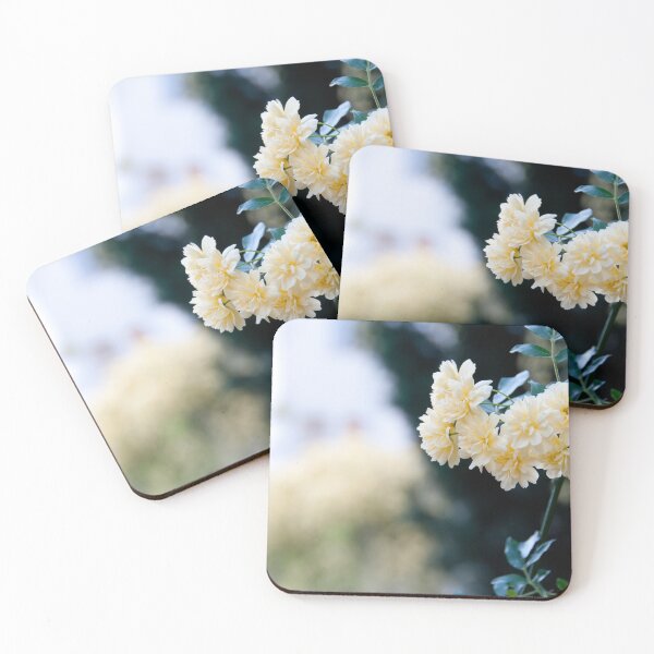 Item preview, Rosa banksiae  bloom designed and sold by Fanini Photography.