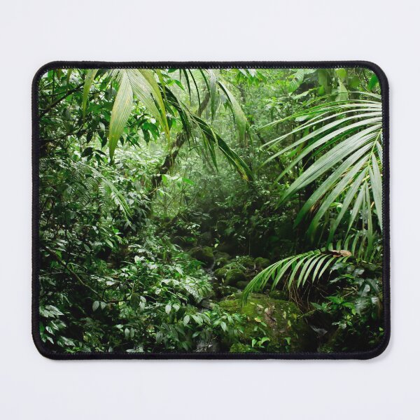 Item preview, Misty Rainforest Creek designed and sold by Nicklas81.