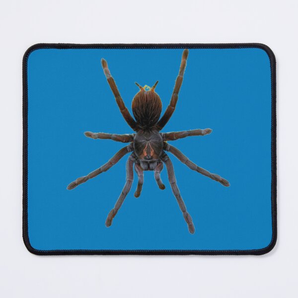 Item preview, Creepy Spider designed and sold by Sonya Umble.