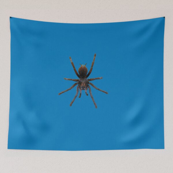 Item preview, Creepy Spider designed and sold by Sonya Umble.