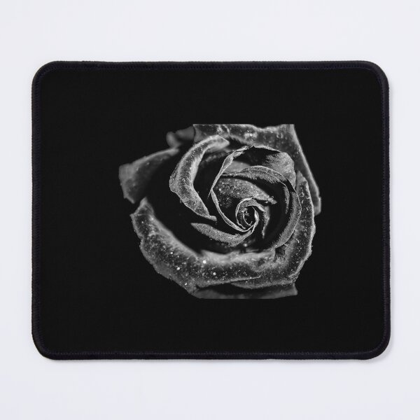 Item preview, Black Rose designed and sold by NunoPires.
