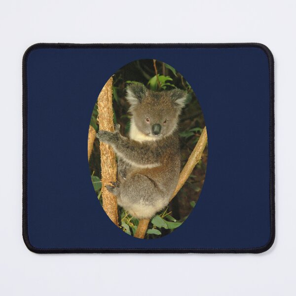 Koala in tree Mouse Pad