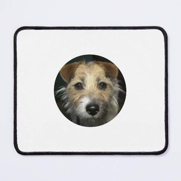Jack Russell Terrier face Mouse Pad