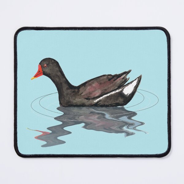 Item preview, Common moorhen designed and sold by Bwiselizzy.