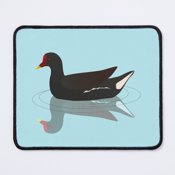 Item preview,  Common moorhen, vector designed and sold by Bwiselizzy.