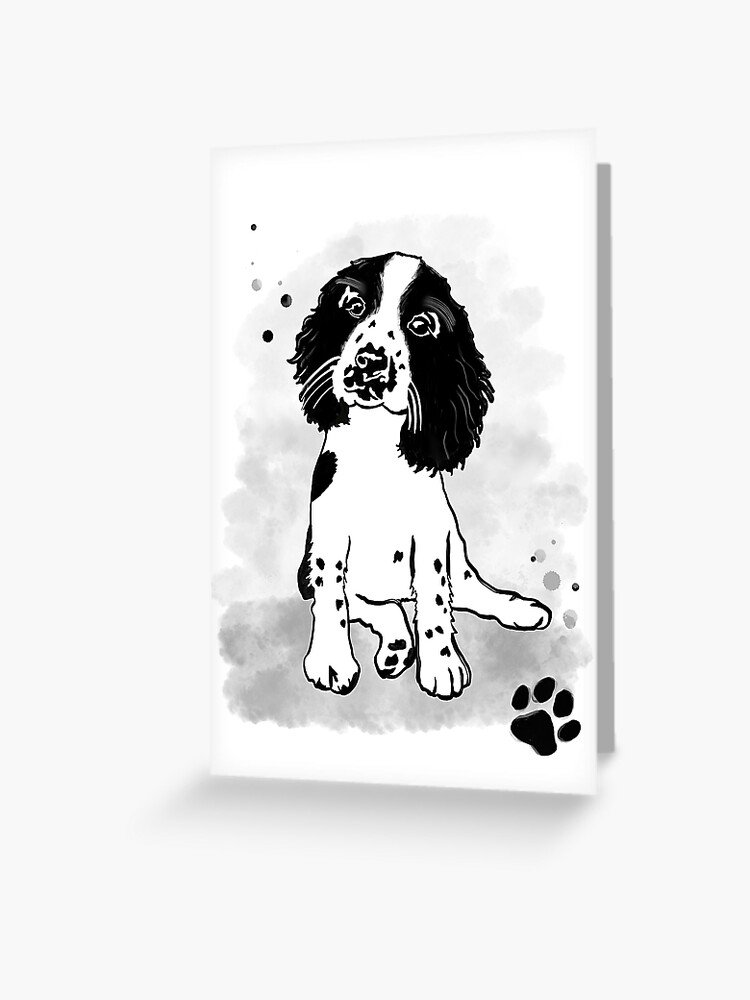 Sprocker spaniel clearance rescue dogs