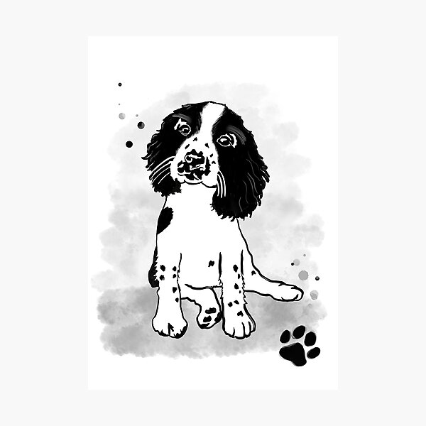 Sprocker spaniel hot sale gifts for owners