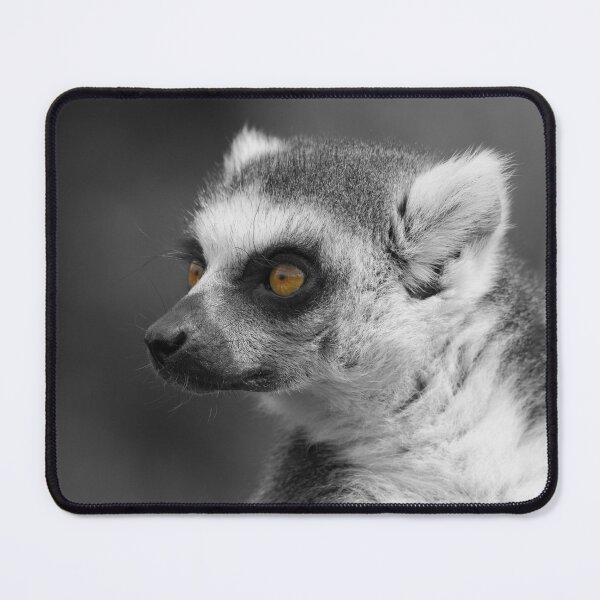 Item preview, Lemur Close-Up Selective Colouring designed and sold by rawshutterbug.