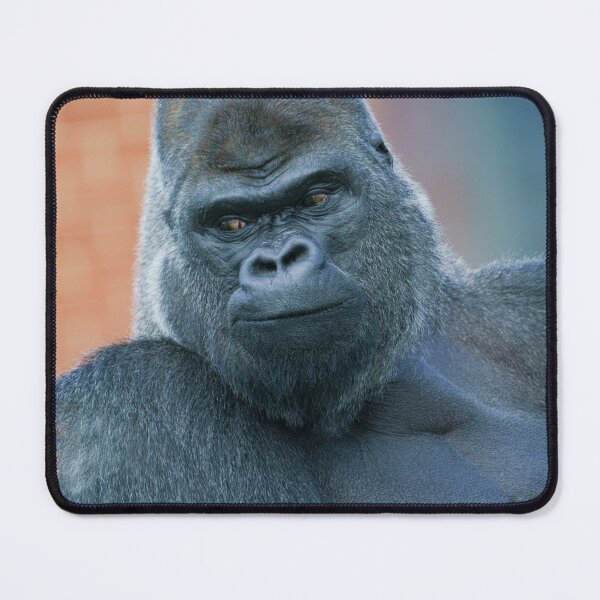 Item preview, Silverback Gorilla's Side Look designed and sold by rawshutterbug.