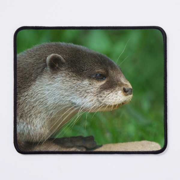 Item preview, Otterly Close designed and sold by rawshutterbug.