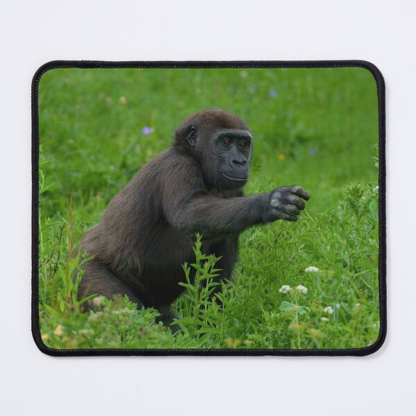 Item preview, Gorilla Reaching Out designed and sold by rawshutterbug.