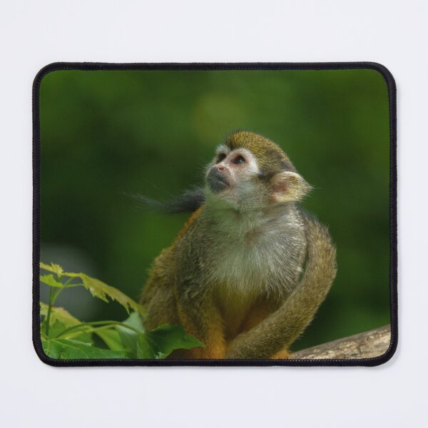 Item preview, Squirrel monkey designed and sold by rawshutterbug.