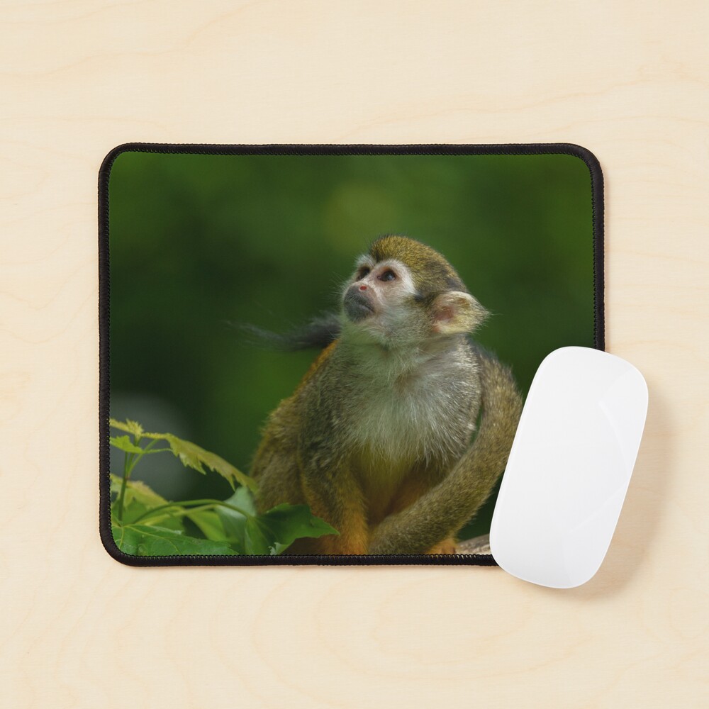 Item preview, Mouse Pad designed and sold by rawshutterbug.