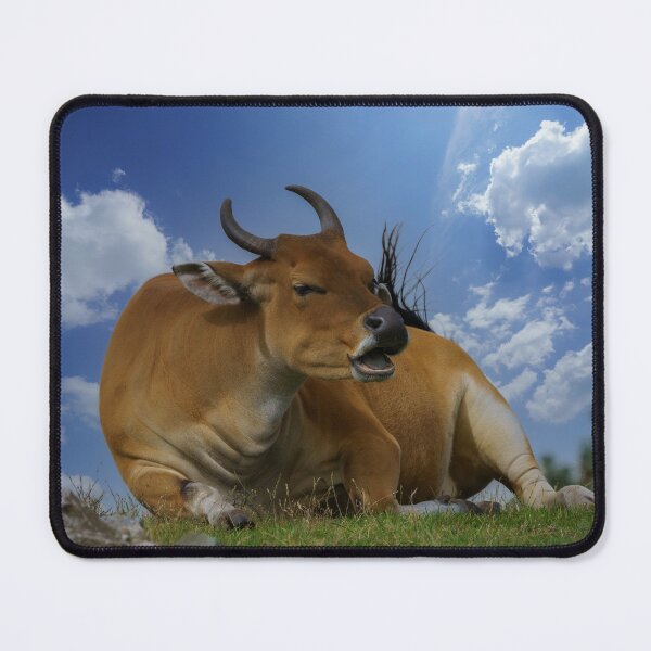 Item preview, Banteng Cattle designed and sold by rawshutterbug.