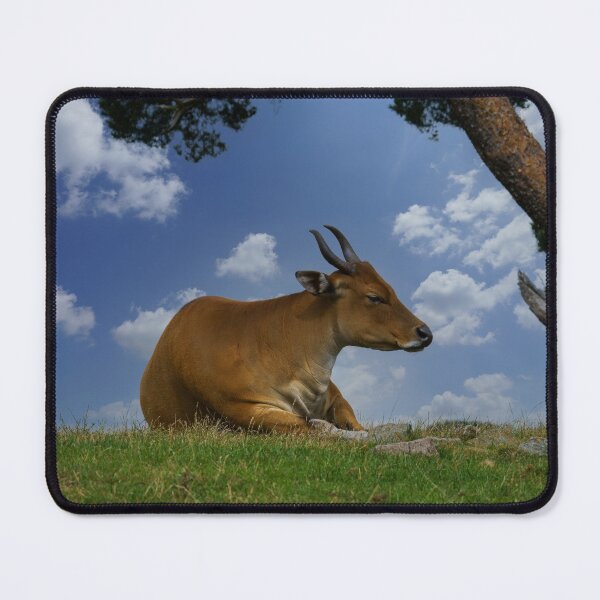 Item preview, Banteng Under A Tree designed and sold by rawshutterbug.