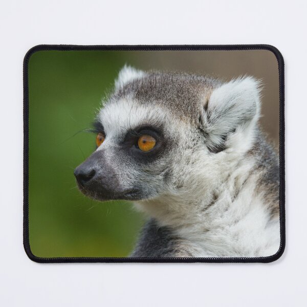 Item preview, Lemur Close-Up designed and sold by rawshutterbug.