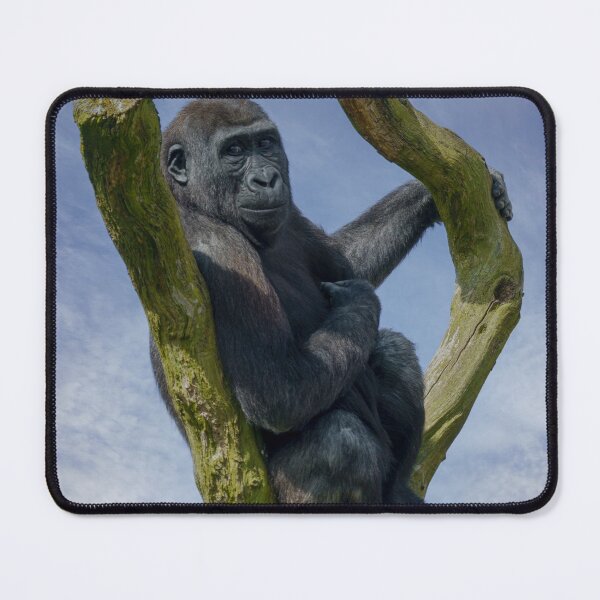 Item preview, Gorilla Resting On A Tree designed and sold by rawshutterbug.