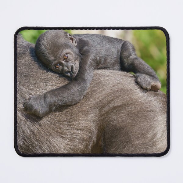 Item preview, Gorilla Baby Riding On Mum's Back designed and sold by rawshutterbug.