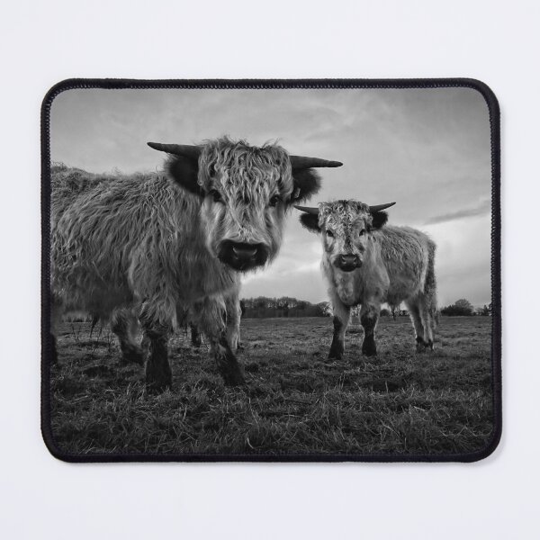 Item preview, High Park Cow Mono designed and sold by rawshutterbug.