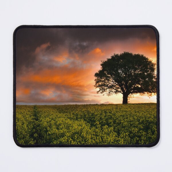 Item preview, When the Sun Rose designed and sold by rawshutterbug.
