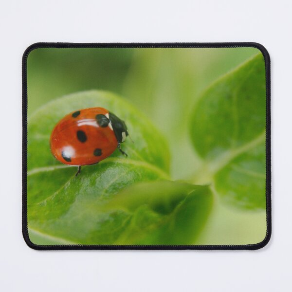 Item preview, Ladybird designed and sold by rawshutterbug.