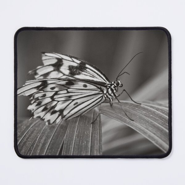 Item preview, Broken Wings Mono designed and sold by rawshutterbug.