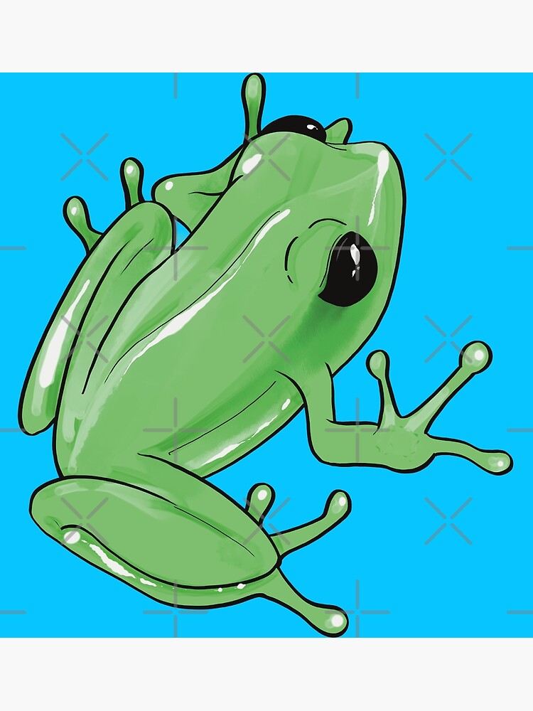 "Coqui frog" Poster for Sale by SamuelMolina Redbubble
