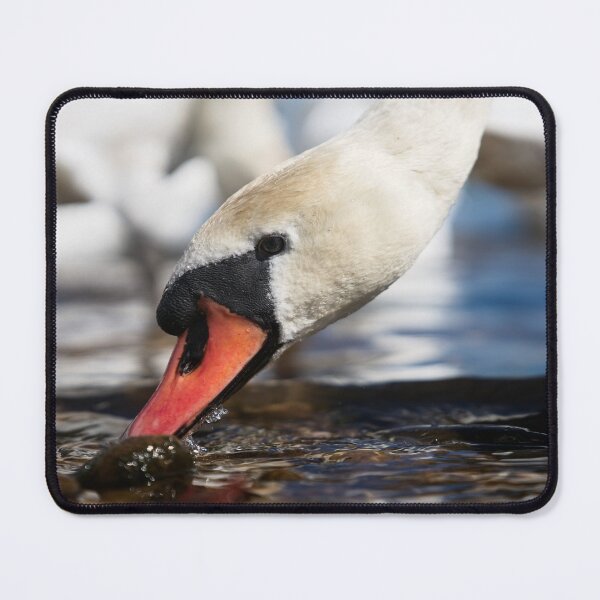 Item preview, Mute Swan designed and sold by rawshutterbug.