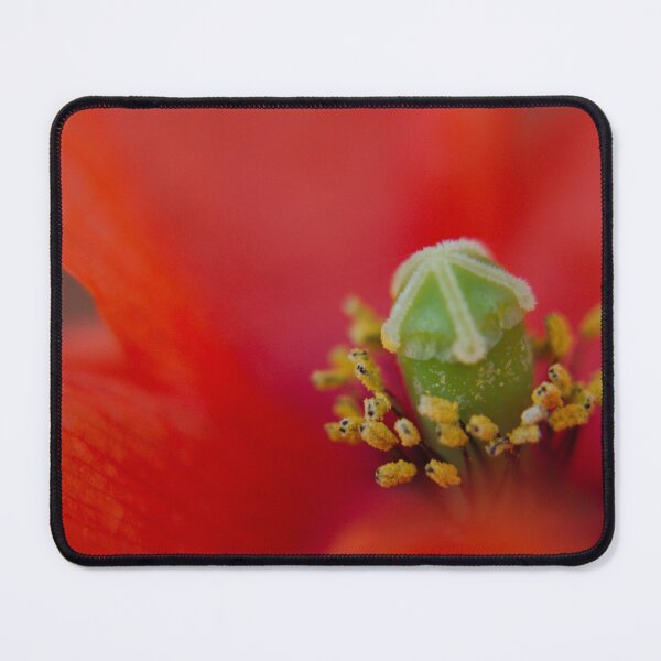 Item preview, Red Poppy designed and sold by rawshutterbug.