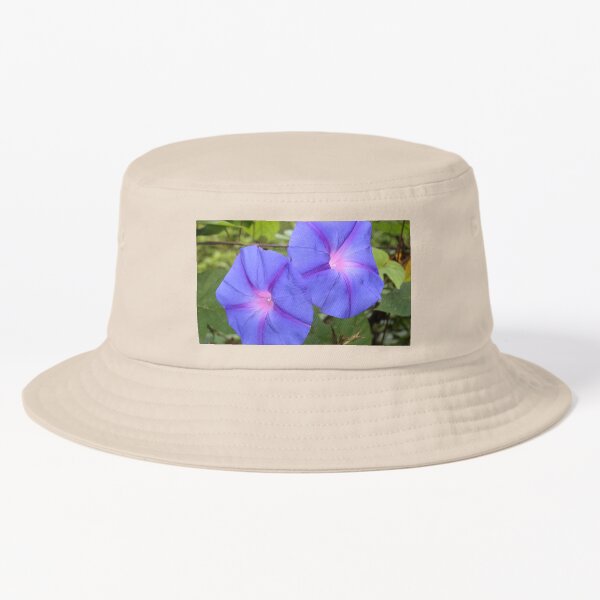 Aperçu de l'œuvre Morning Glory ou Moonflower d'Australie créée et vendue par NJH110.