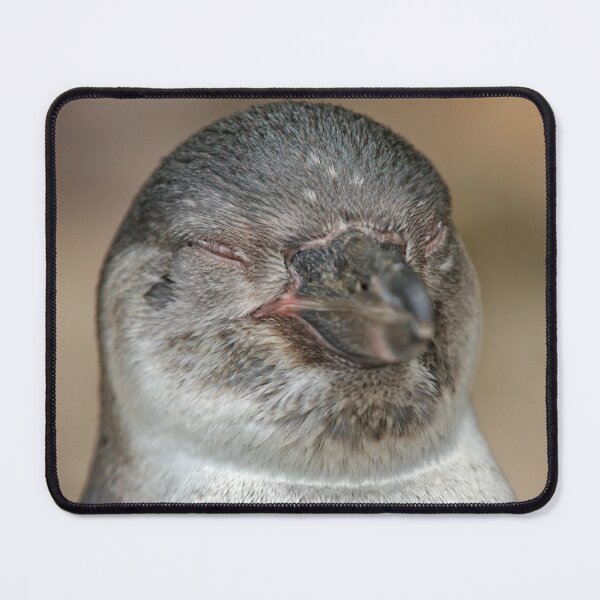 Item preview, Sleepy Young Penguin designed and sold by rawshutterbug.