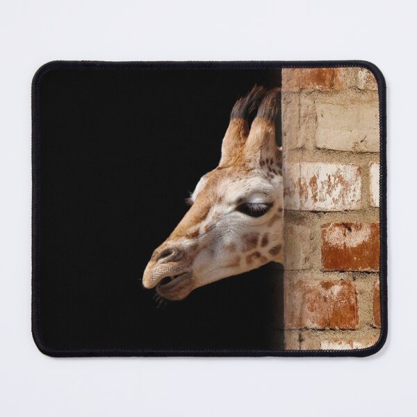 Item preview, Baby Giraffe designed and sold by rawshutterbug.