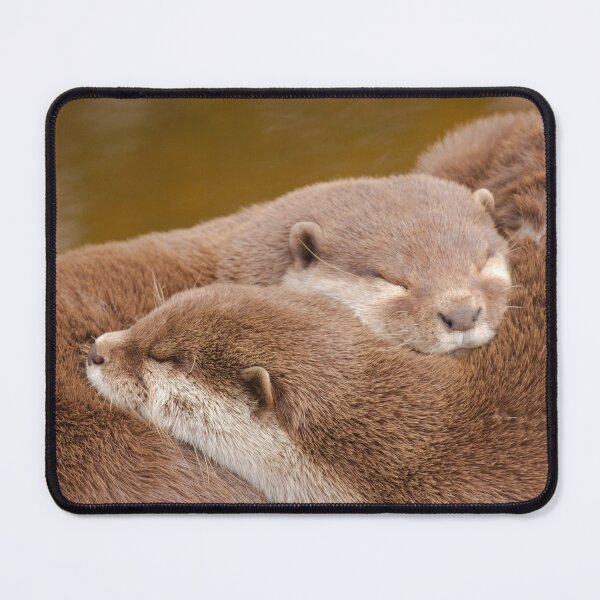 Item preview, Otterly Cute designed and sold by rawshutterbug.