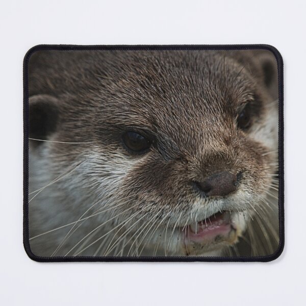 Item preview, Otterly Sweet Face designed and sold by rawshutterbug.