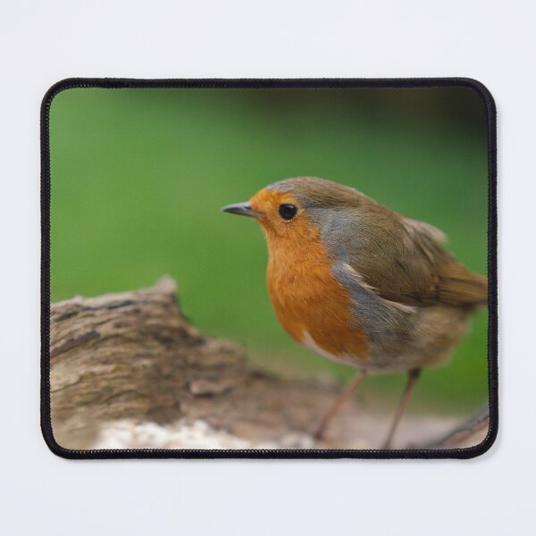 Item preview, Robin Redbreast designed and sold by rawshutterbug.