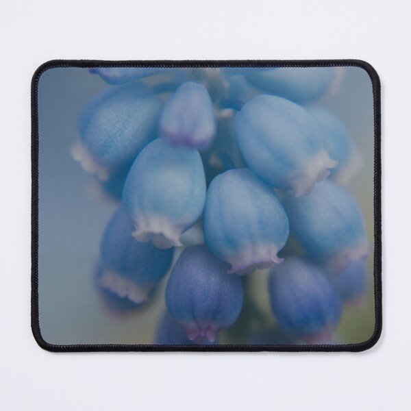 Item preview, Grape Hyacinths designed and sold by rawshutterbug.