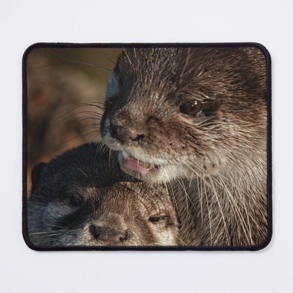 Item preview, Mum And Baby Otter designed and sold by rawshutterbug.
