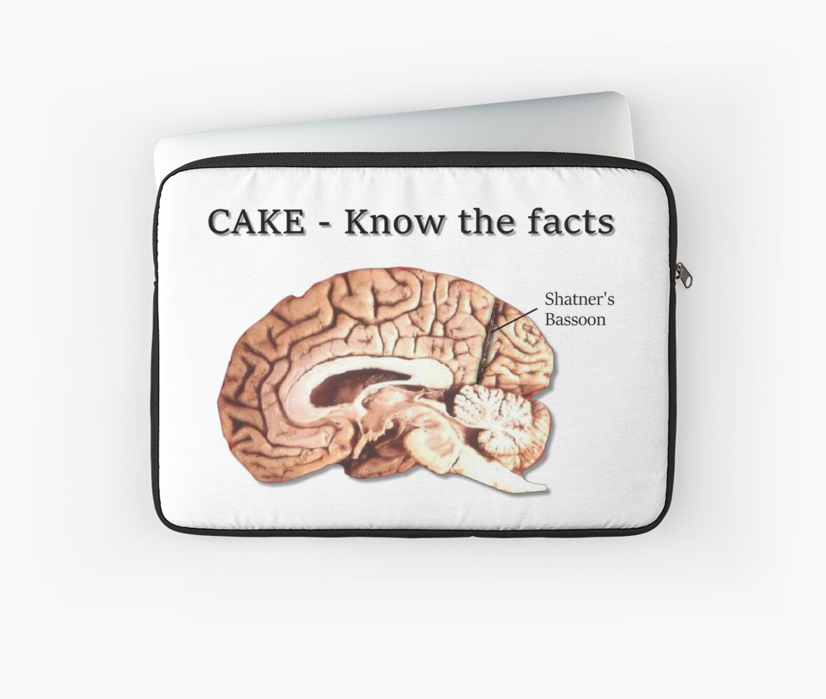 "Cake a madeup drug" Laptop Sleeve by flatfrog00 Redbubble